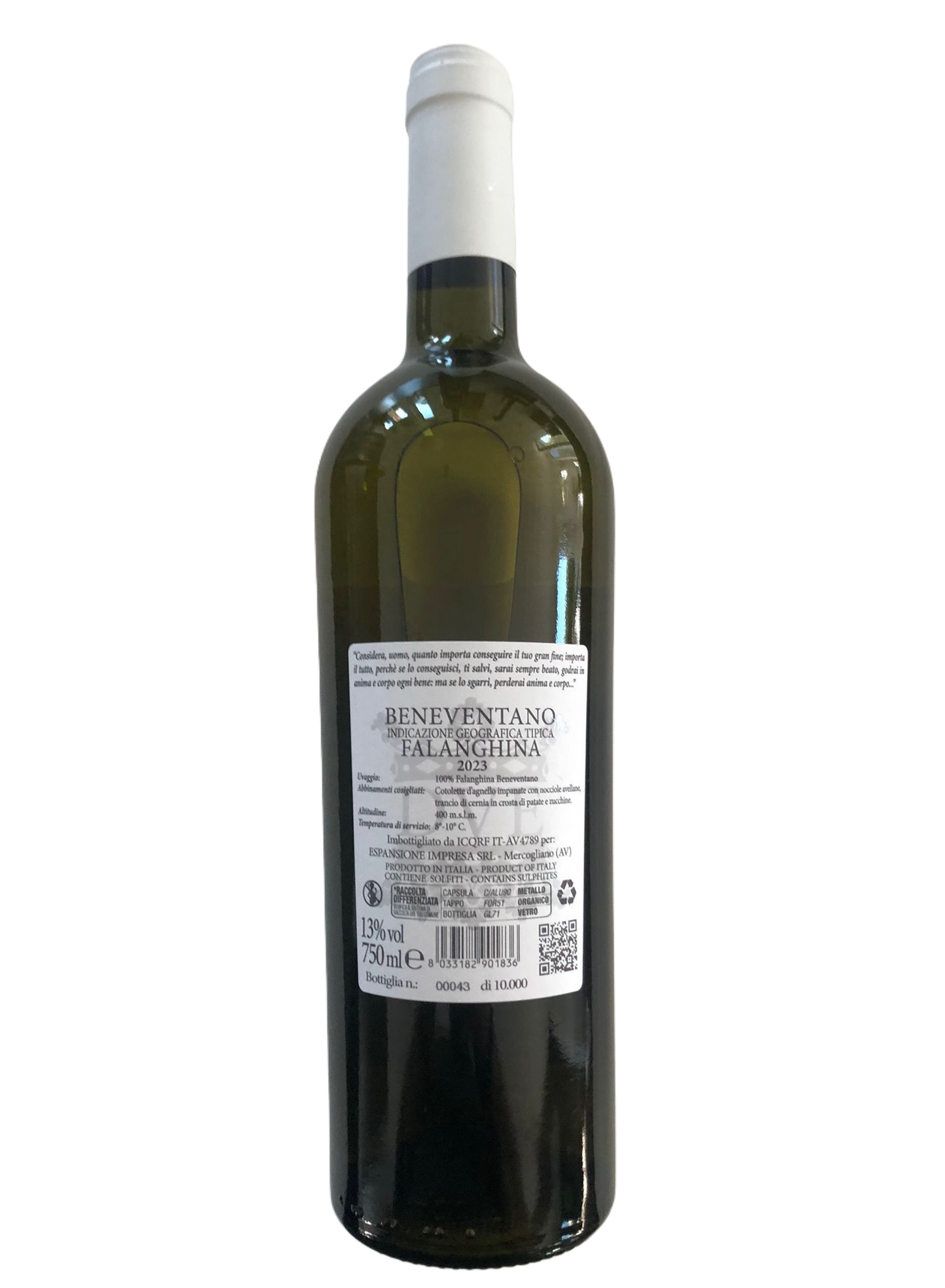 Falanghina