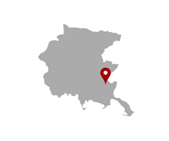 Vini Friuli