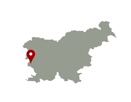 Vini Slovenia