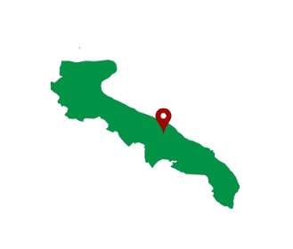 Vini Puglia