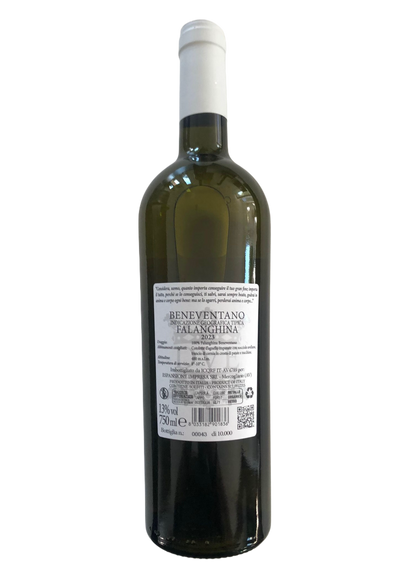 Falanghina