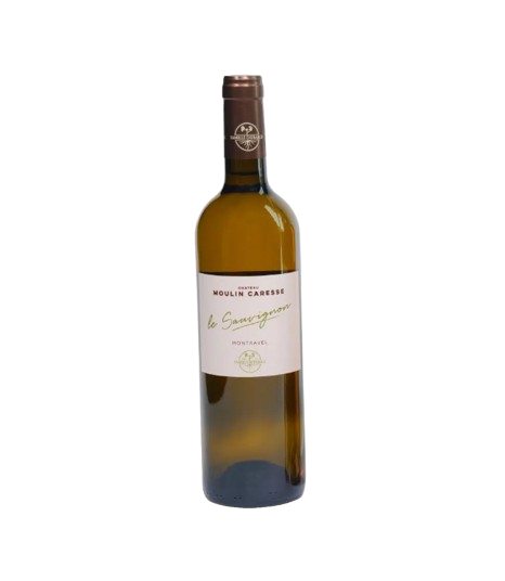 Le Sauvignon - Montravel (BIO)